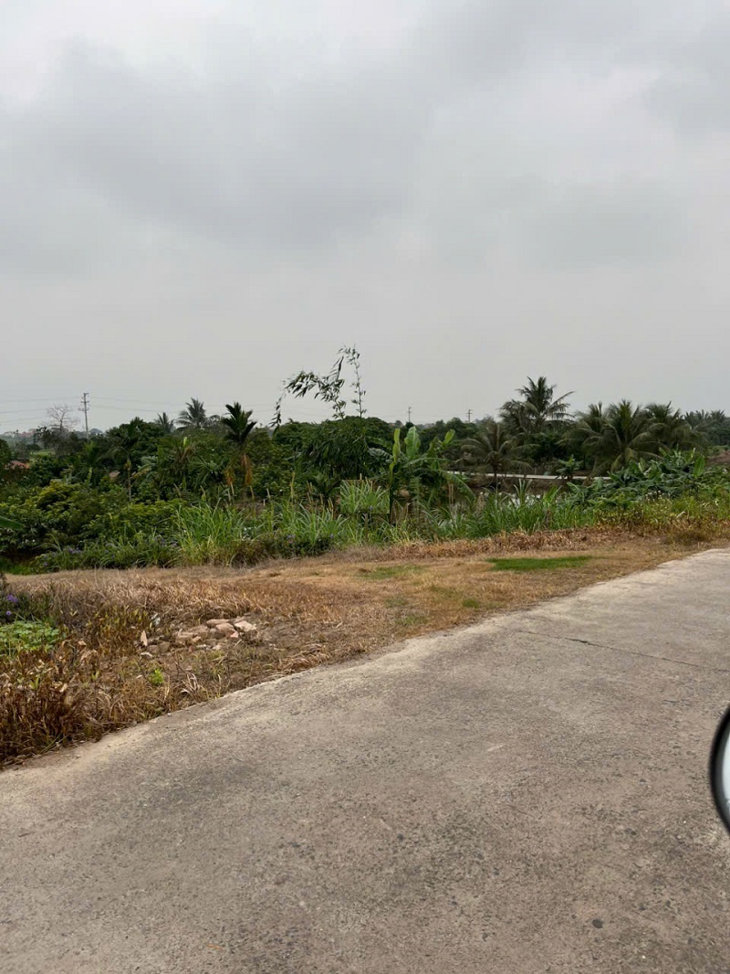 CHÍNH CHỦ CẦN BÁN GẤP TRANG TRẠI CHĂN NUÔI TẠI HIỆP LỰC, NINH GIANG, HẢI DƯƠNG 